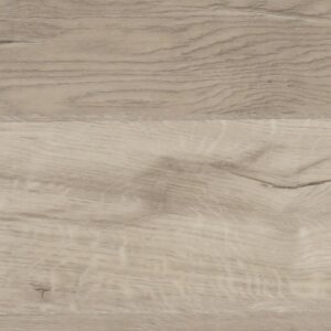 6039-10B Dub Severský